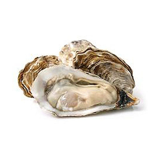 Talaba 2 Talaba – Landmark